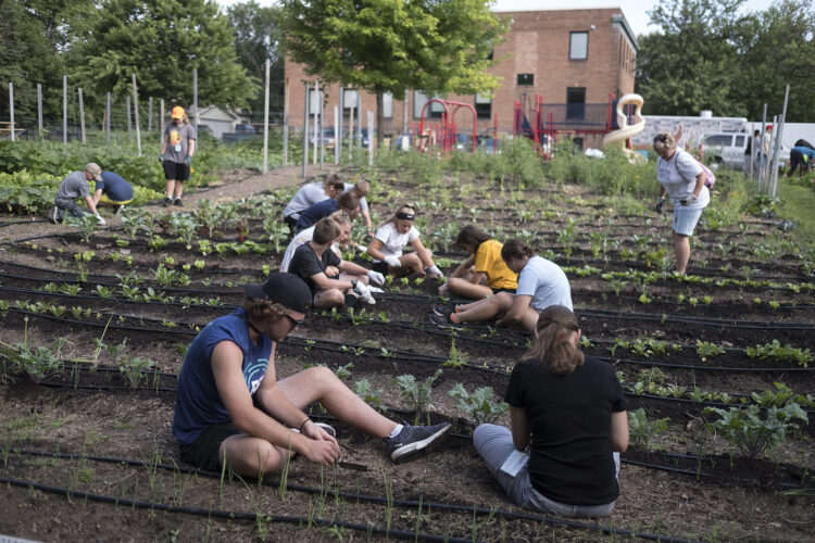 urban garden
