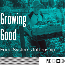 Growing Good Food Systems Internship