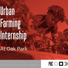 Urban Farming Internship-2